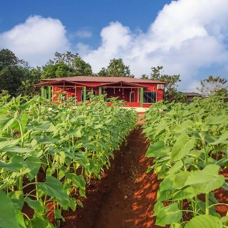 Aarya Farm Bed and Breakfast Bhom Εξωτερικό φωτογραφία